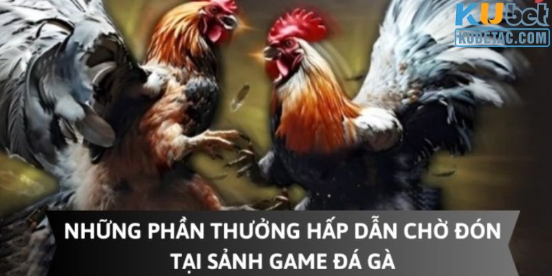 Khuyến mãi đá gà giá trị được săn đón tại nhà cái